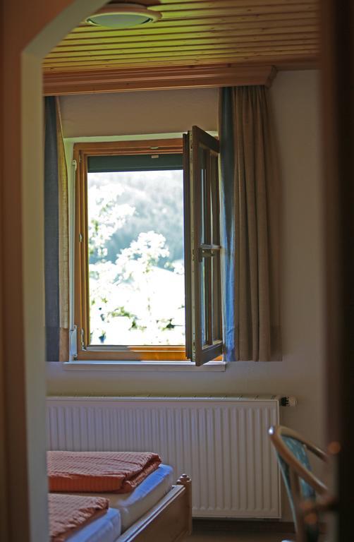 Appartementhaus Wehrenfennig ゴーザウ 部屋 写真